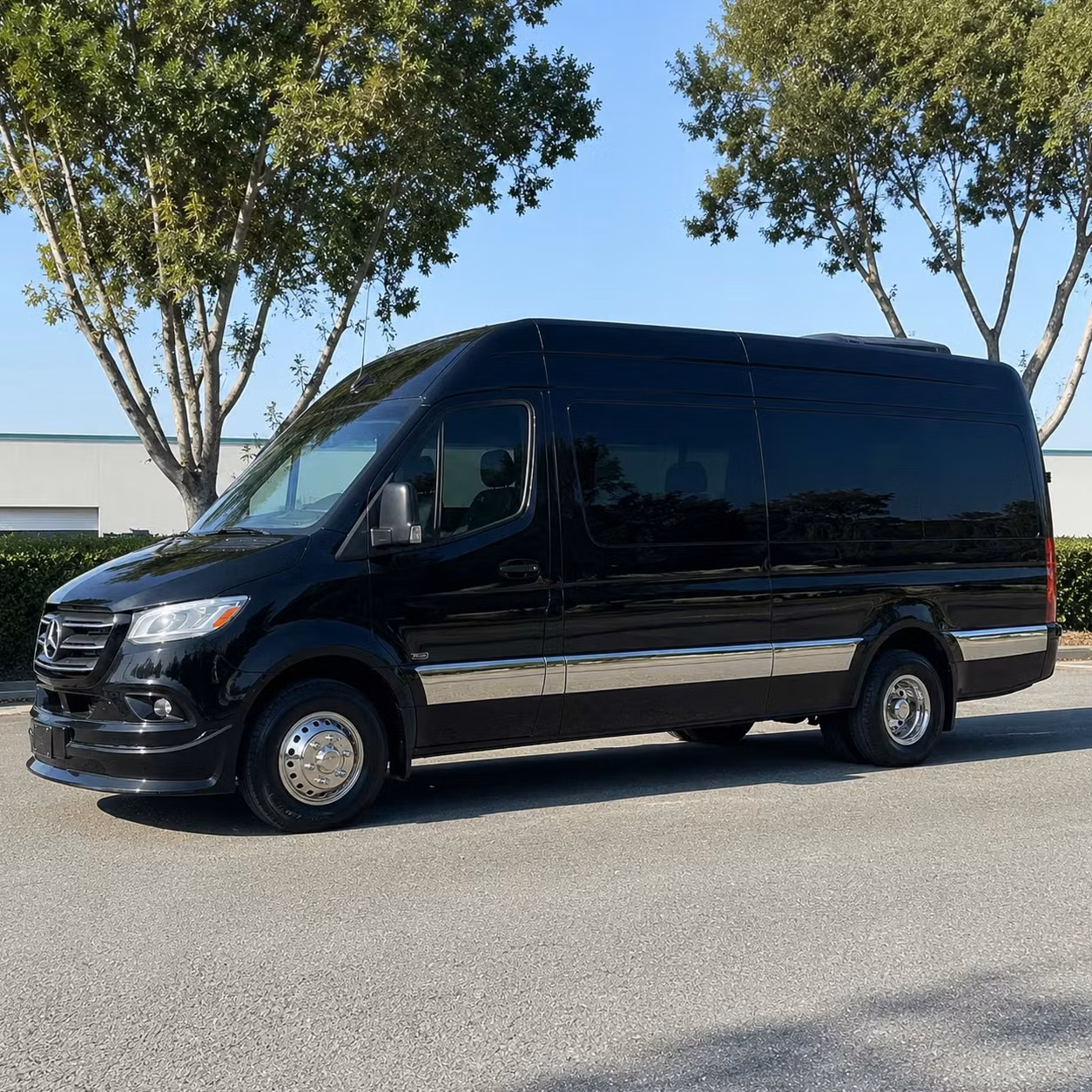 texas city sprinter van rental with driver